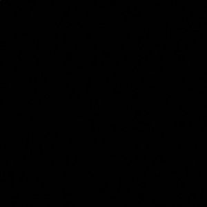 Meet your Posher, Nina